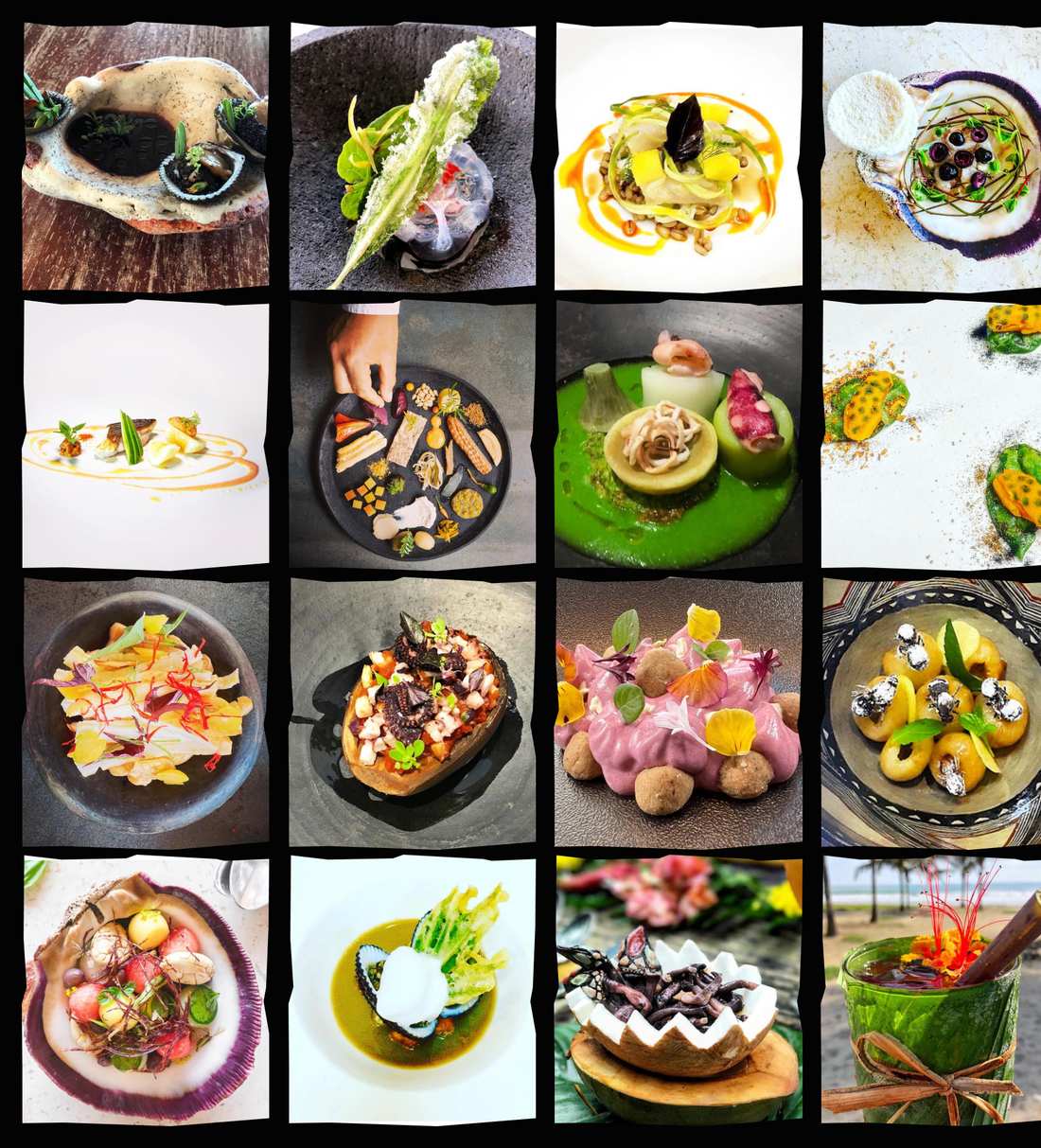 Collage of plated dishes from Bocavaldivia Academy masterclasses