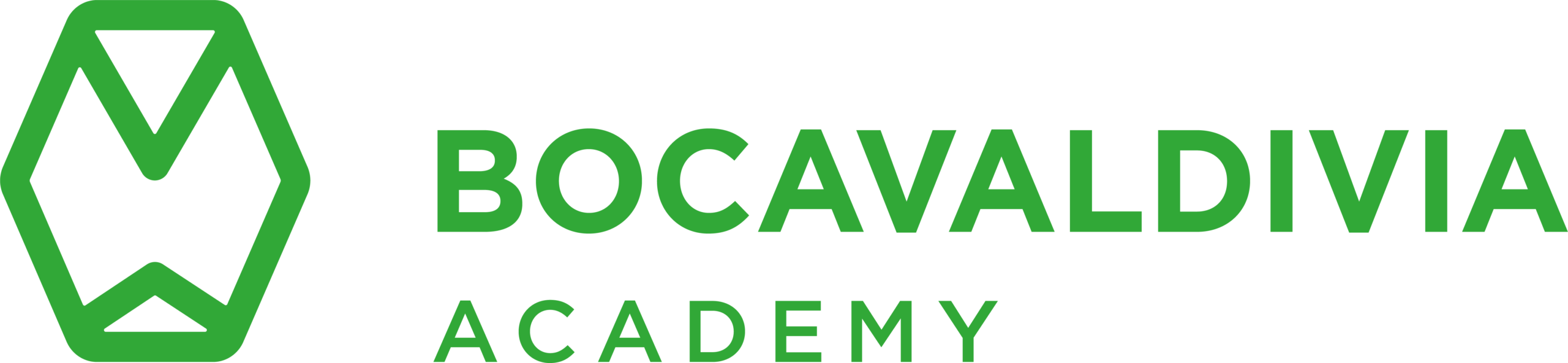 Bocavaldivia Academy